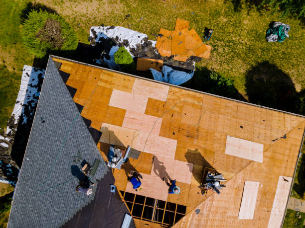 Best Roof Gutter Cleaning  in Williamsburg, VA