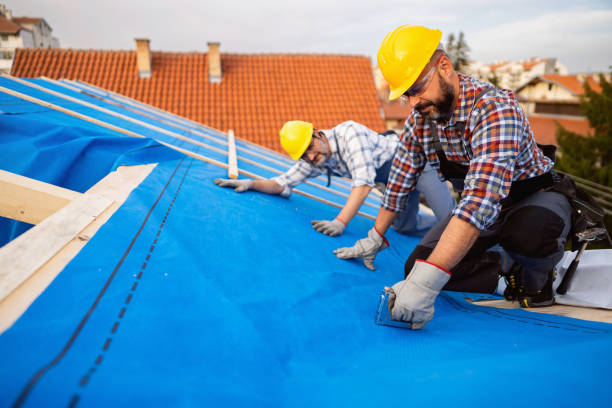 Best Flat Roof Repair Services  in Williamsburg, VA