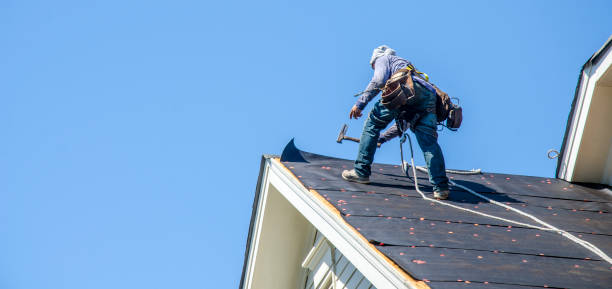 Best Metal Roofing Contractor  in Williamsburg, VA